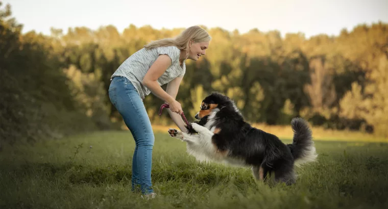 Perfect recall training