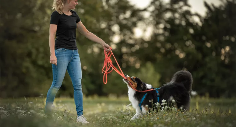 Wandelend coachen