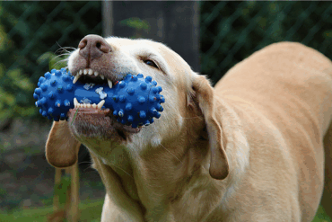 Spelen als beloning