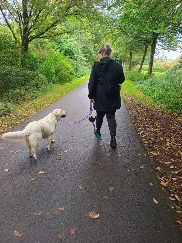 Na de eerste privéles was er al zoveel vooruitgang in het gedrag van mijn hondje.
Laura is heel geduldig en legt alles heel goed uit. Ik ben dan ook heel positief over de trainingen van Laura.